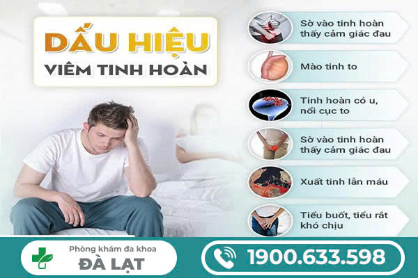 Hình ảnh minh họa